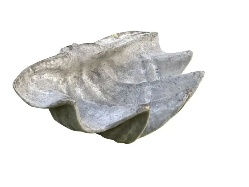 Product image 3 of the product “Marina - Sea shells, 41cm L | cast stone ”